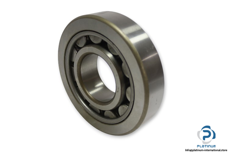 skf-NUS-60-cylindrical-roller-bearing-(new)-1