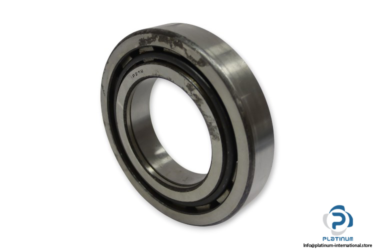 dkfddr-NUP-218-cylindrical-roller-bearing-(used)-1