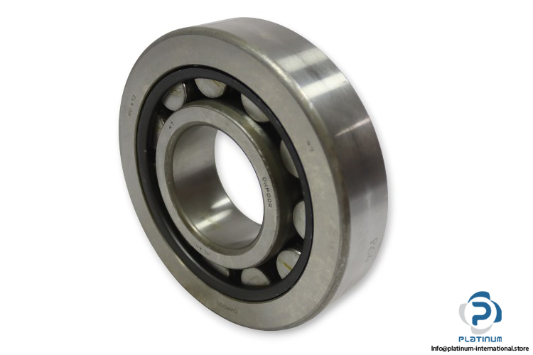 dkfddr-NU-413-cylindrical-roller-bearing-(new)-1