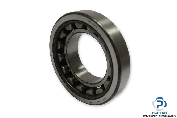 dkfddr-NU-218-cylindrical-roller-bearing-(new)-1