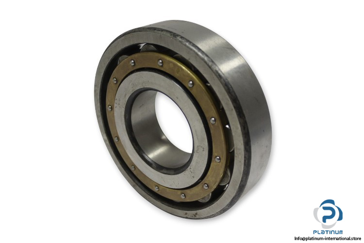 jaeger-NS65-cylindrical-roller-bearing-(used)-1