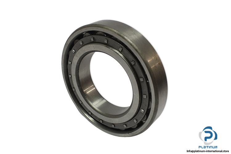 riv-16DA_V-cylindrical-roller-bearing-(used)-1