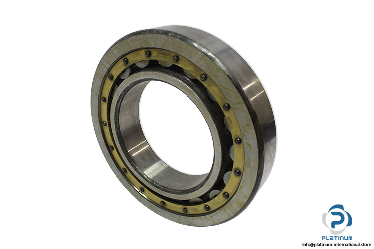 urb-NU-220-MA-P52-cylindrical-roller-bearing-(new)-1