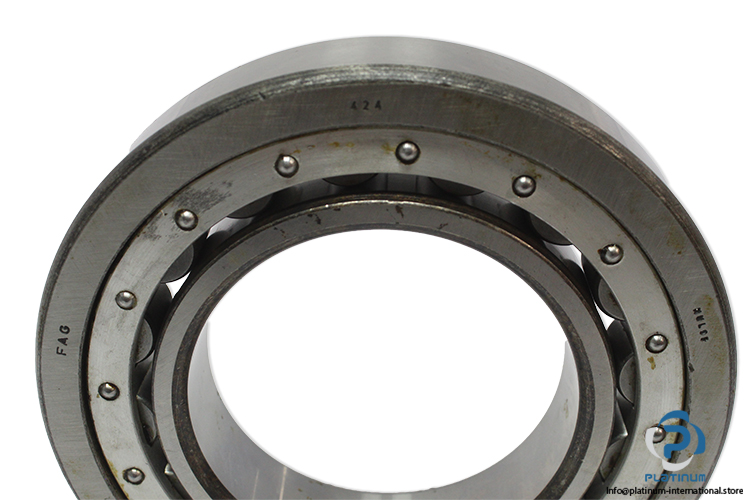 fag-NUL-95--NU-219--cylindrical-roller-bearing-(new)-2