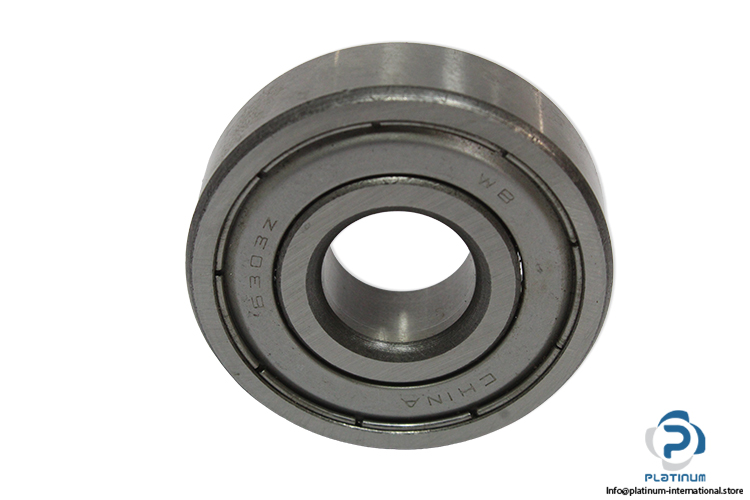wb-6303-Z-deep-groove-ball-bearing-(new)-1