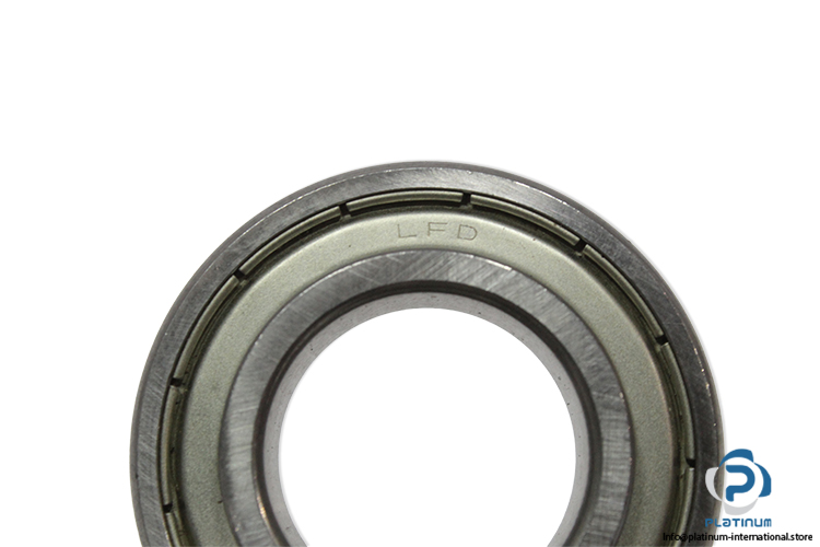 lfd-6005-ZV-deep-groove-ball-bearing-(new)-2