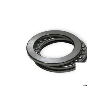 FAG 51110 Thrust Ball Bearing
