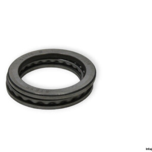 bearings-image-004