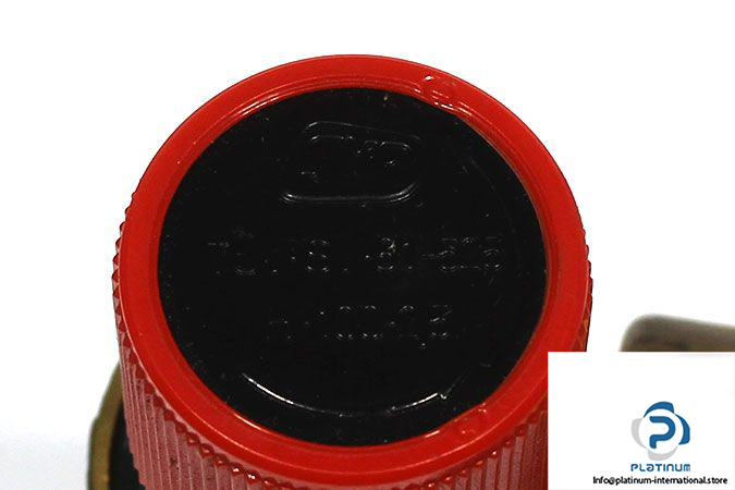 syr-1915-pressure-relief-valve-3