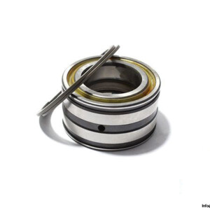 INA SL045008-PP-2NR Double ROW Cylindrical Roller Bearing