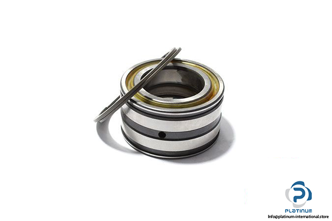 ina-SL045008-PP-2NR-double-row-cylindrical-roller-bearing