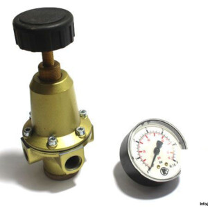 Riegler 737.312 Pressure Regulator