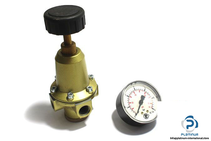 riegler-737.312-pressure-regulator