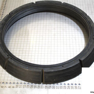demag-09972884-_-riw-brake-ring