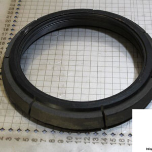demag-07978784-_-riw-brake-ring