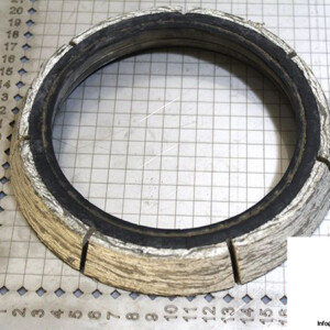 Demag 07471284 / RIW Brake Ring