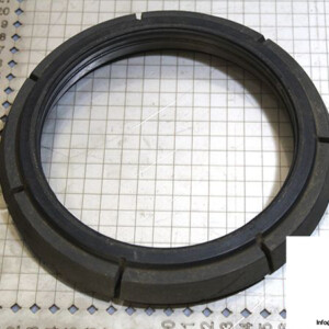 Demag 07478784 / RIW Brake Ring
