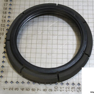 Demag 06978784 / RIW Brake Ring