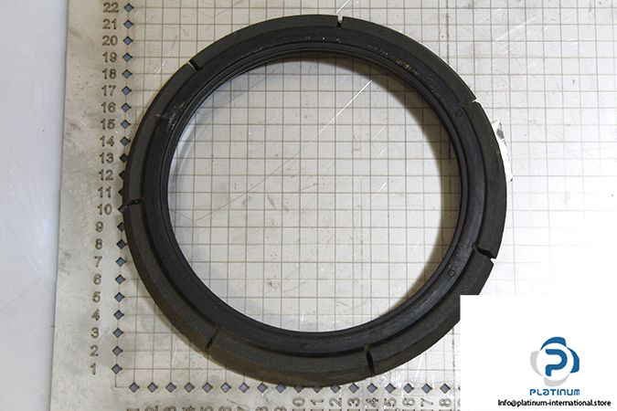 demag-07978784-_-riw-brake-ring-2