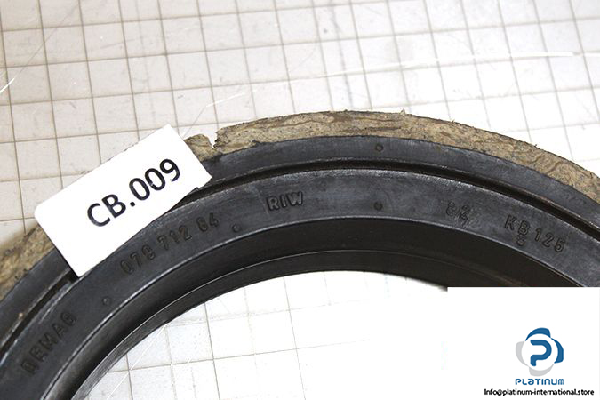 demag-07971284-_-riw-brake-ring-2