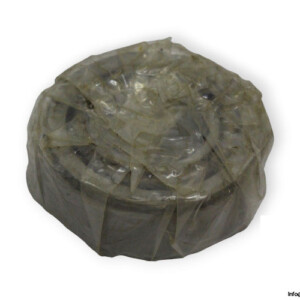 bearings-image-010