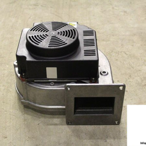ebmpapst-G1G170-AB31-05-combustion-air-blower
