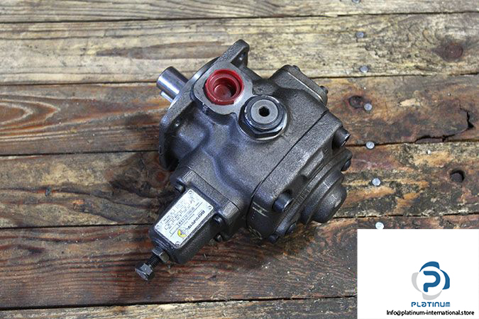 berarma-02-PVS1-25-F-H-R-M-variable-displacement-vane-pump
