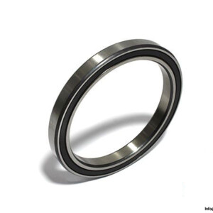 elges-61819-2RS-Y-deep-groove-ball-bearing