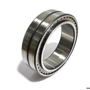 ina-SL02-4930-A-C5-double-row-cylindrical-roller-bearing
