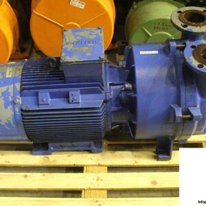 nash-elmo-2BV5161-0KD02-6S-Z-ring-vacuum-pump