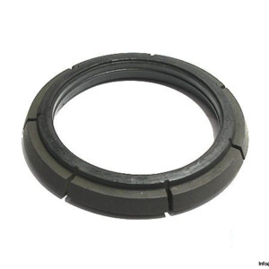 Demag 069 787 84 Tapered Brake Ring
