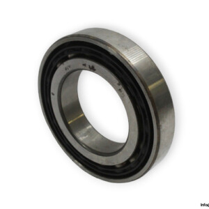 bearings-image-009