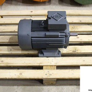 vem-G21R-132S-4-EW-PT-SPEZ-WE-HW-3-phase-electric-motor