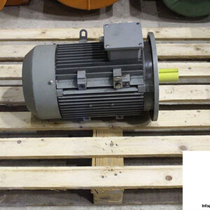 elektra-12AA132M-06-3-phase-electric-motor