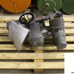 Auma SGF 12.1-FUSS Lever Actuator