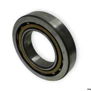bearings-image-009