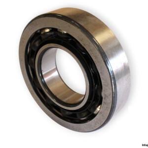 bearings-image-009