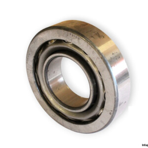bearings-image-009