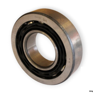 bearings-image-009