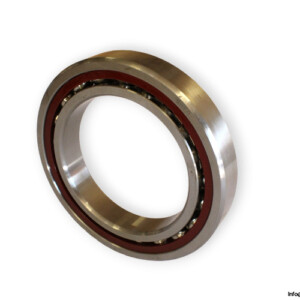 Snfa EX120 Angular Contact Ball Bearing
