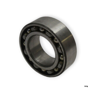 bearings-image-009