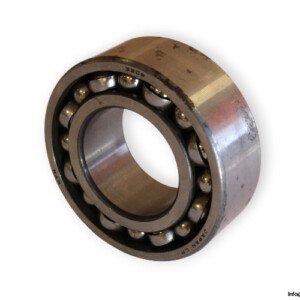 bearings-image-009