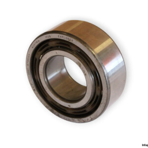 bearings-image-009