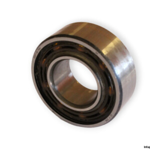 bearings-image-009