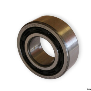 bearings-image-009