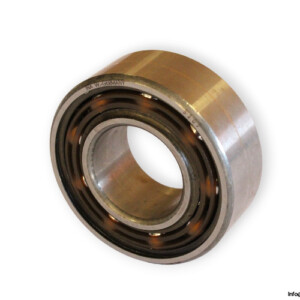 bearings-image-009