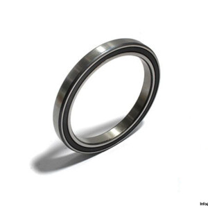 ina-61819-2RS-Y-deep-groove-ball-bearing