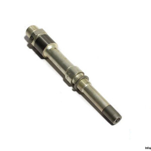 champion-CBS-123-igniter-plug