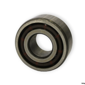 skf-3204-ATN9_C2-double-row-angular-contact-ball-bearing