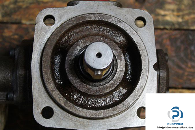 berarma-02-pvs1-20-f-l-r-m-variable-displacement-vane-pump-2